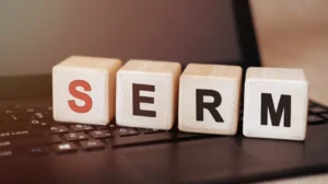 Implement a SERM Search Engine Reputation Management Plan With UK Expert Guidance